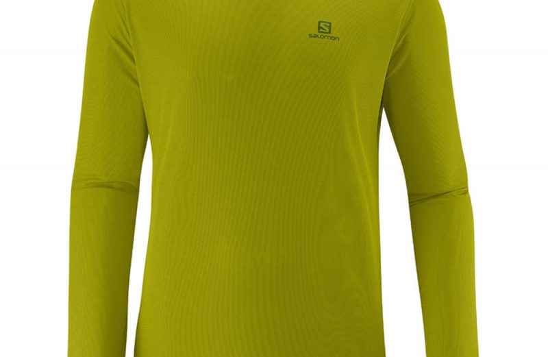 Camiseta Salomon Stroll ML - Masculina - Verde